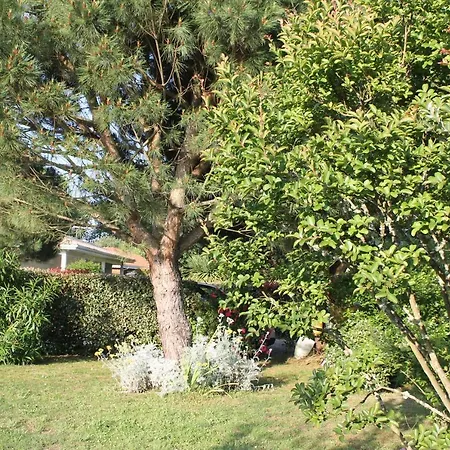 Chez Sophie 2* Lege-Cap-Ferret